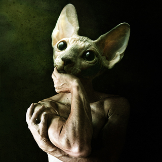 Illustration for article titled These photoshop mashups of humans and animals freak the hell out of me